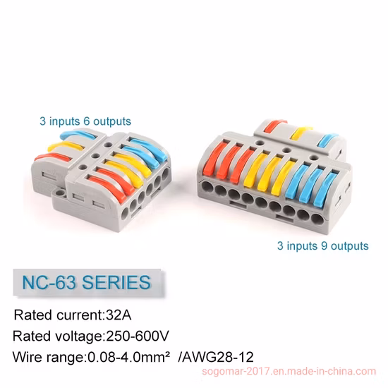 Push-up 2 Pack Bra with Scallop Edging on Cups with Elastic Band