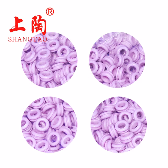 Wear Resistant and High Temperature Resistant Titanium Oxide Ceramic Eyelet