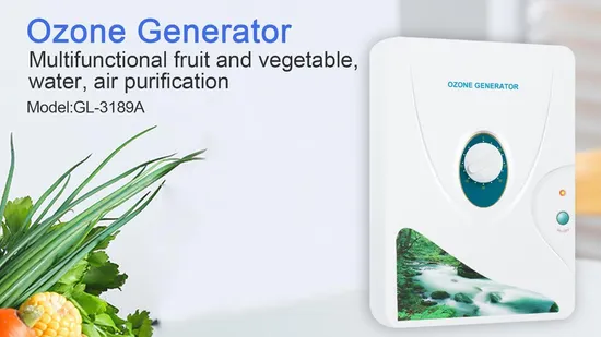 CE RoHS FCC Manual Rotate Button 600mg Ozone Generator Ozonator Air and Water Purifier for Wegetable and Fruit Washer 
